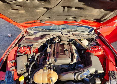 2019 Ford Mustang z USA, uszkodzony, nr VIN 1FATP8UHXK5144111